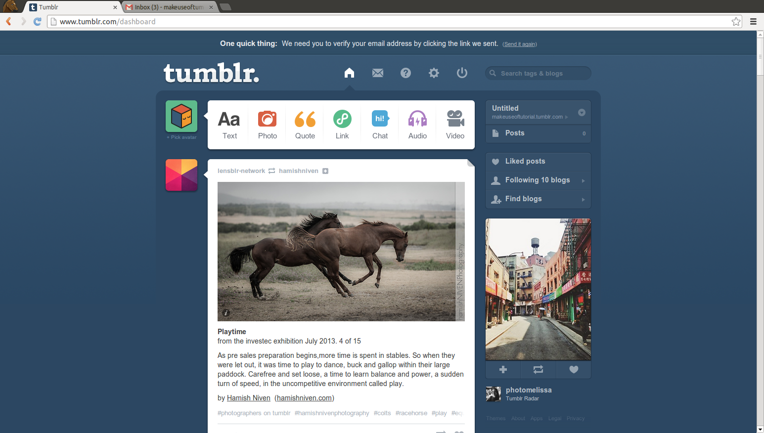 Tumblr-9.png